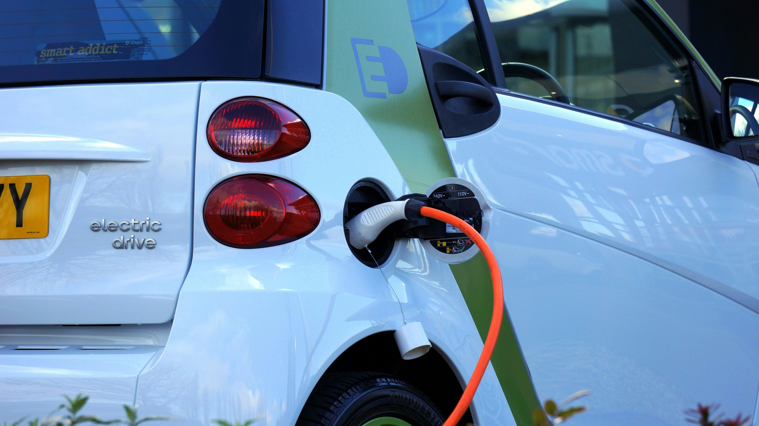 pexels-photo-110844